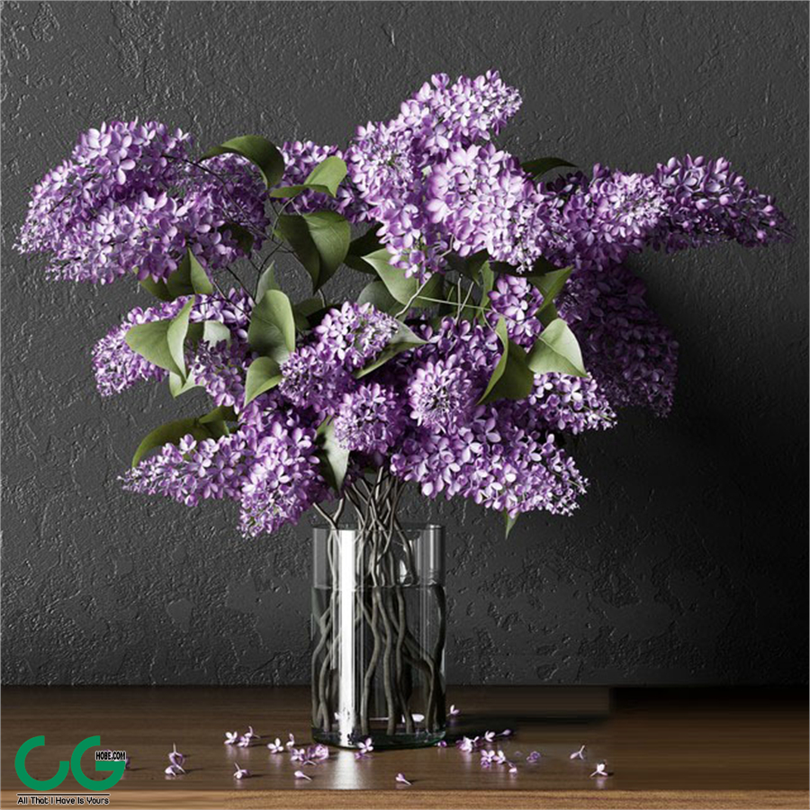 PLANT_004